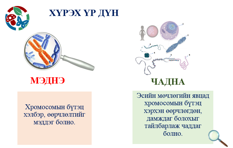 Мэдлээ | Цахим контент